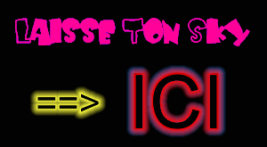 laisse ton blog ok